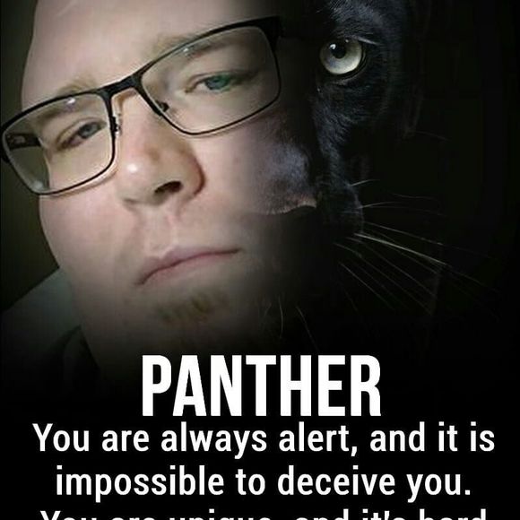 Meet your Posher, Jake - Picture 1 of 1